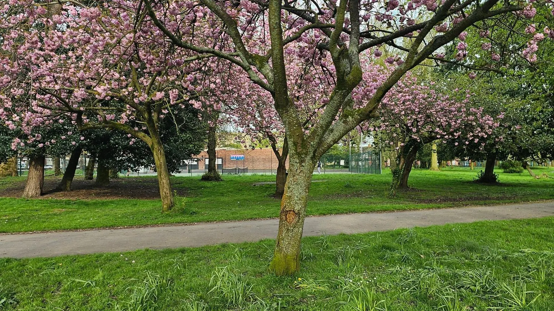 Alexandra Park Apartment Manchester