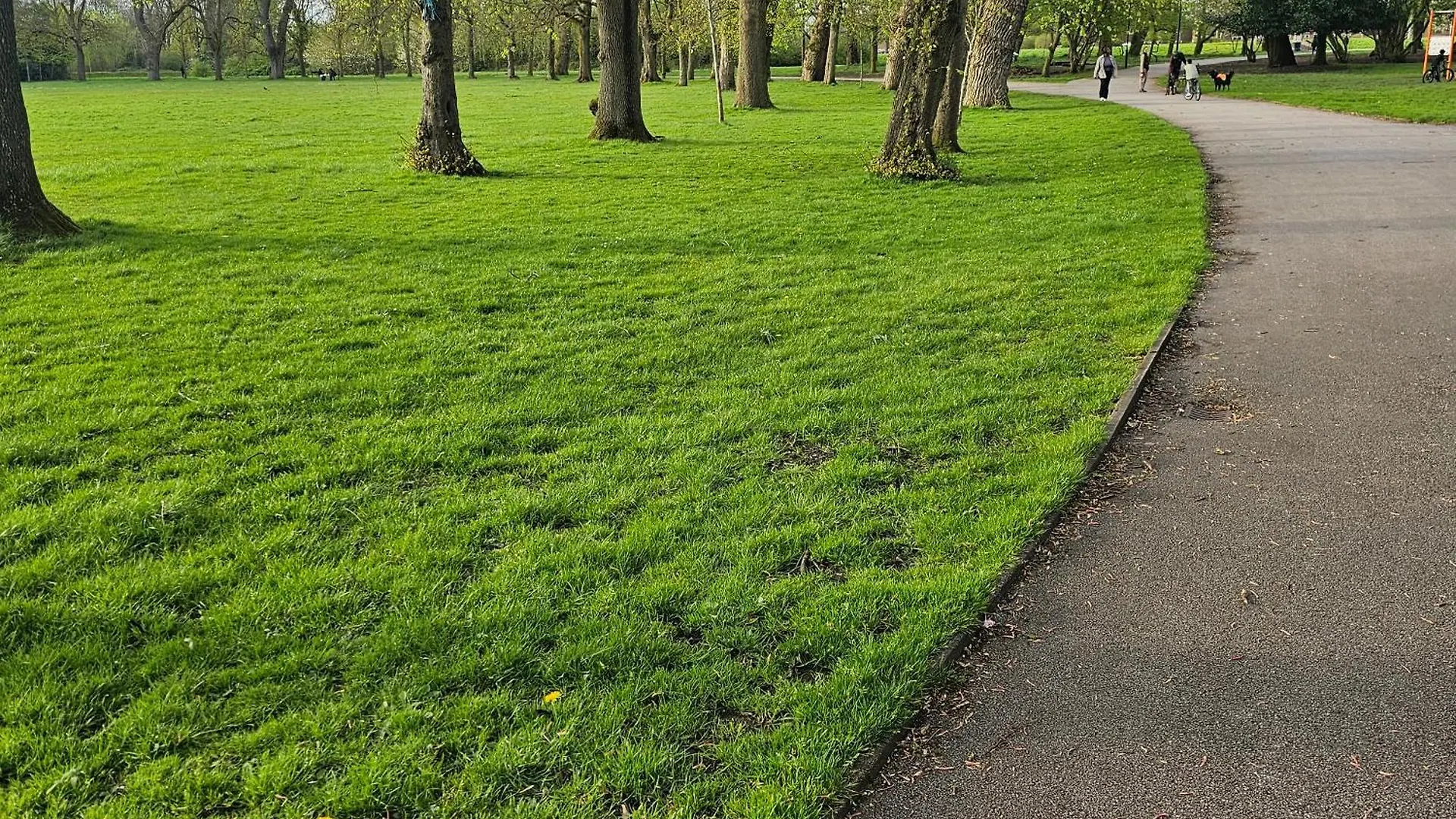Alexandra Park location